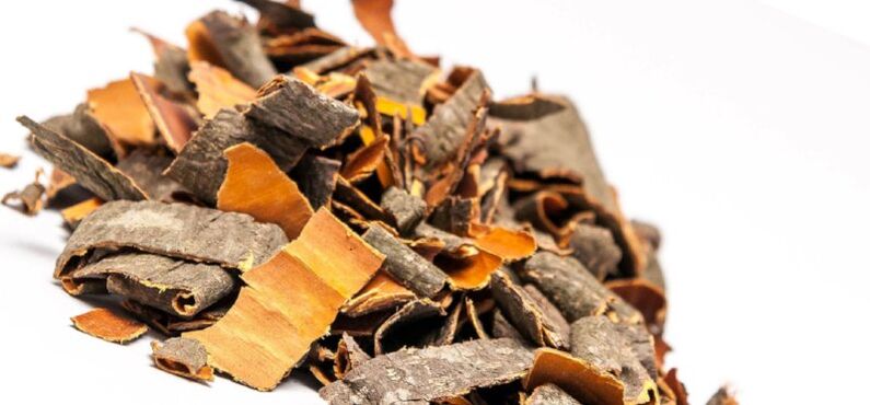Aspen bark to prepare broths and infusions that increase male potency