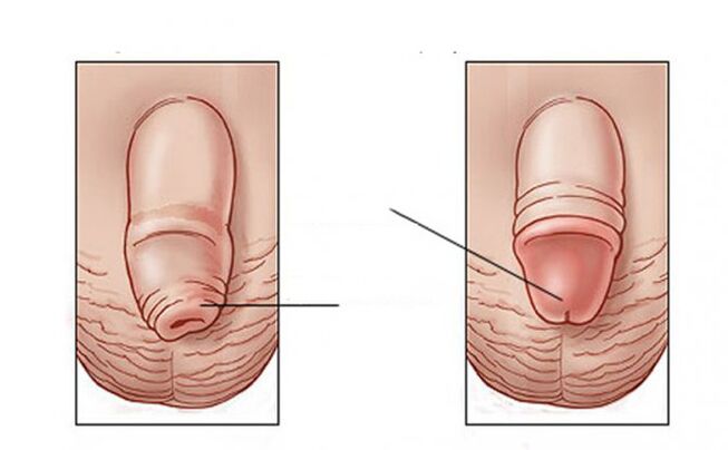 Which task does the lubricant perform